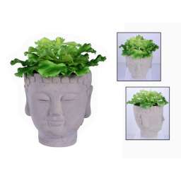 PLANTA CON POTE 20CM